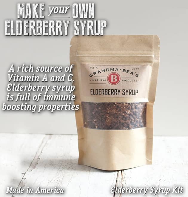 Elderberry Syrup Kit - SHOP PANTRY