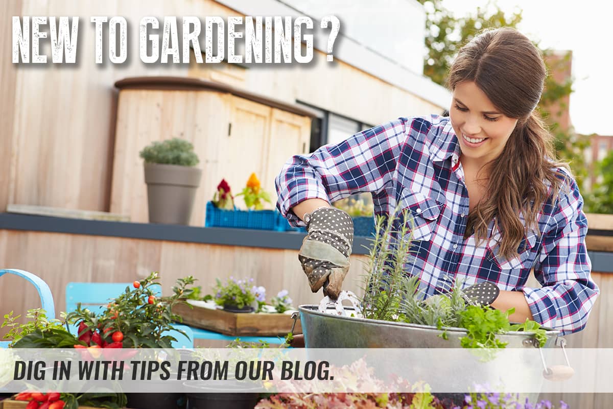 Dig in with tips from our blog.