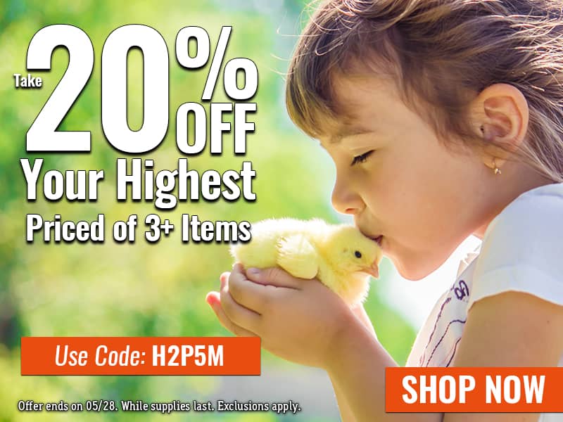 Save 20% off Your Highest Priced of 3+ Items - USE CODE: H2P5M